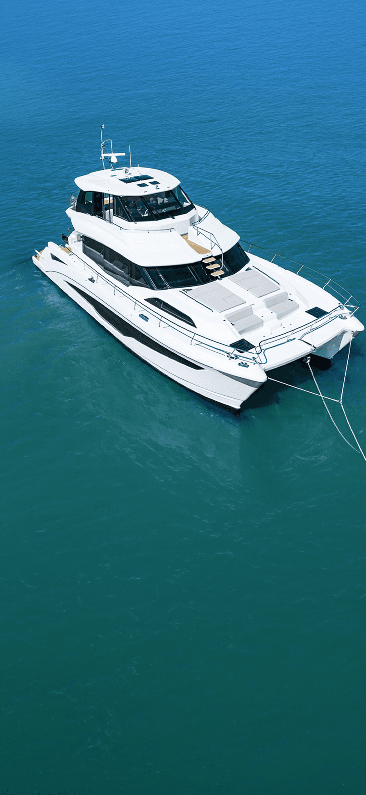 Aquila flotta